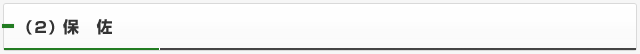 （２）保佐